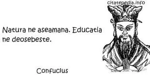 Educația ne deosebește: de ce contează învățarea continuă