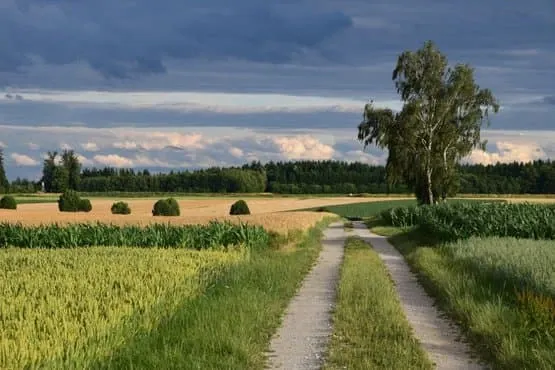 Curs Agricultură ecologică (fosta Măsura 11, PNDR 2014-2020)