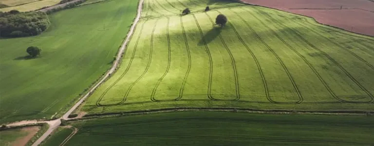 Curs Agro-mediu și climă (fosta Măsura 10, PNDR 2014-2020)