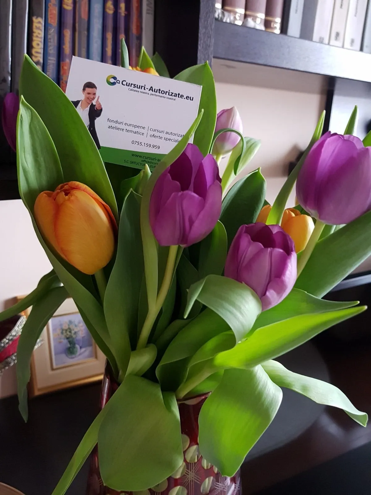O floare și o urare la început de primăvară